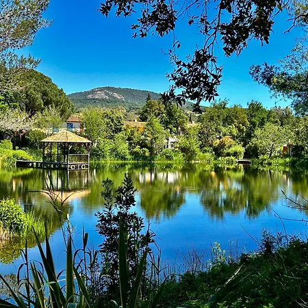 Les Restanques Maison 35 Chênes 3 Hébergement de vacances Grimaud