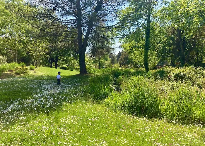 Casa vacanze Les Restanques Maison 35 Chenes 3 *